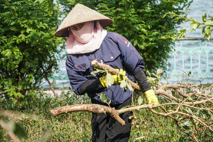 7 quận, huyện chưa báo cáo số liệu, nhưng Hà Nội đã có hơn 40.000 cây đổ, gãy sau bão số 3 - Ảnh 1.