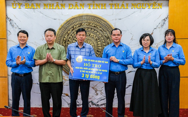 Thành Đoàn TP.HCM tuyển tình nguyện viên khắc phục bão lũ qua Go Volunteer - Ảnh 3.