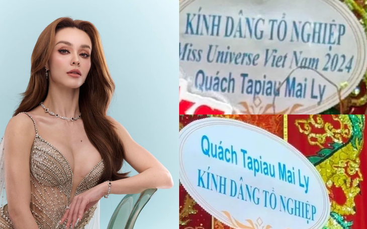 Màn phát biểu tiếng Anh ‘pha’ Việt nực cười của Chủ tịch Miss Universe Vietnam - Ảnh 4.