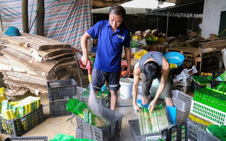 Cổ phiếu ngành thực phẩm được săn đón, tăng giá mạnh sau đợt bão lớn - Ảnh 2.