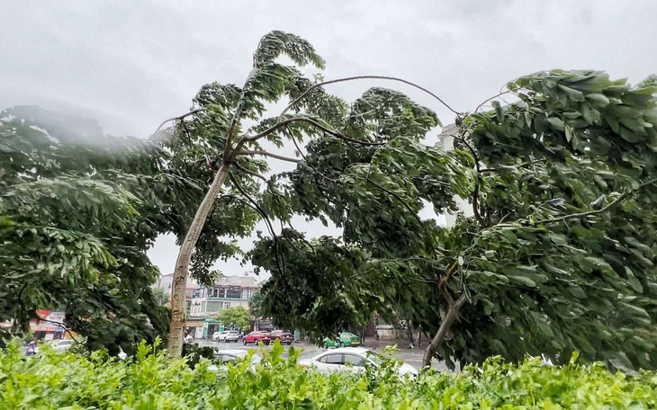 Thời tiết hôm nay 17-9: Cả nước mưa dông, Biển Đông gió bão - Ảnh 2.