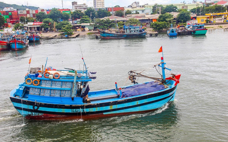 Quảng Ngãi giám sát bến cá tư nhân, bốc dỡ hải sản trên biển - Ảnh 2.