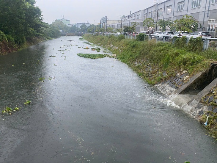 Mưa mở màn 'mùa lụt', dân Đà Nẵng thúc dục nhau cách ứng phó - Ảnh 2.