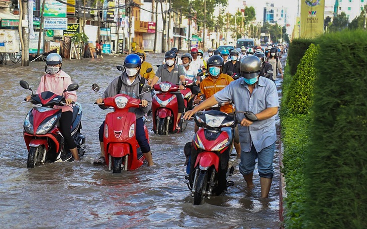 Lúa hư hại do mưa dầm, Bạc Liêu chỉ đạo 'nóng' không chờ thương lái đến mua mới thu hoạch - Ảnh 2.