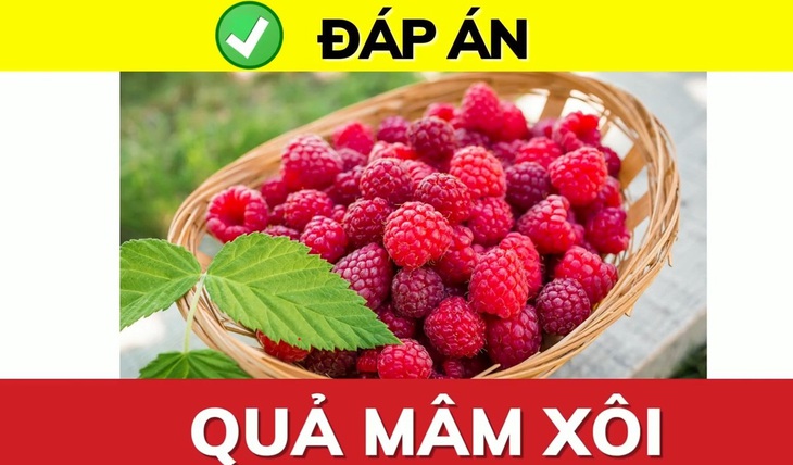 Đuổi hình bắt chữ: Đây là quả gì? (P2) - Ảnh 1.