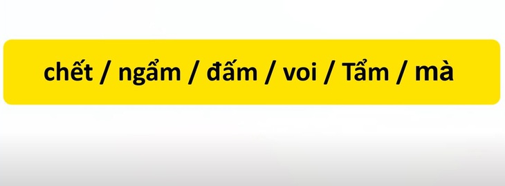 Thử tài tiếng Việt: Sắp xếp các từ sau thành câu có nghĩa (P136) - Ảnh 2.