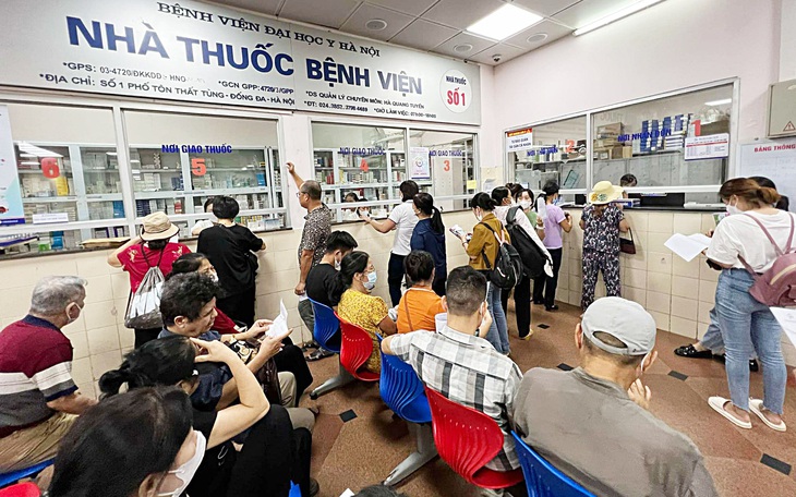 Gỡ 'nút thắt' đấu thầu dược liệu y học cổ truyền - Ảnh 3.