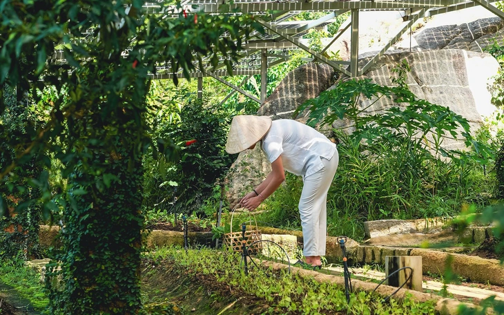 Vượt 250 tiêu chí, hãng lữ hành đầu tiên của Việt Nam đạt chứng nhận về du lịch bền vững - Ảnh 2.