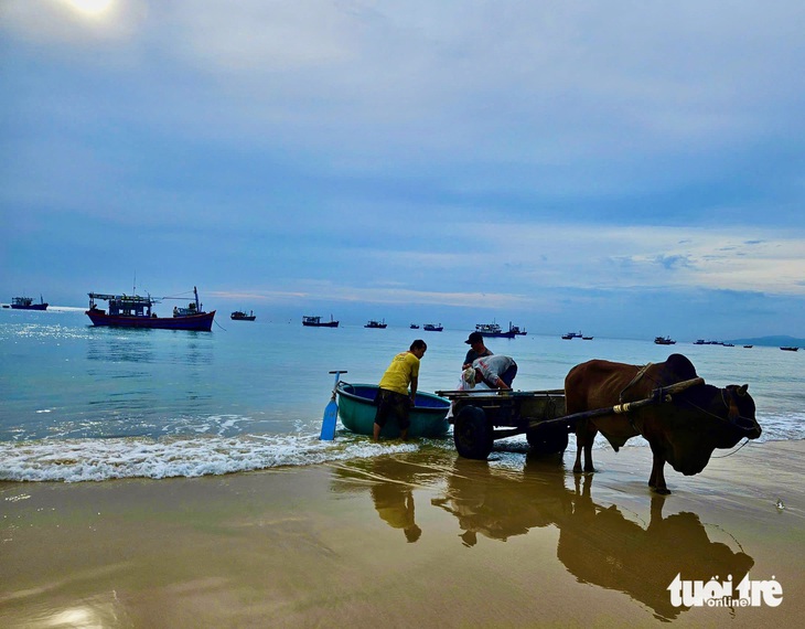 Xây dựng sản phẩm làng du lịch cộng đồng tại Phú Yên - Ảnh 1.