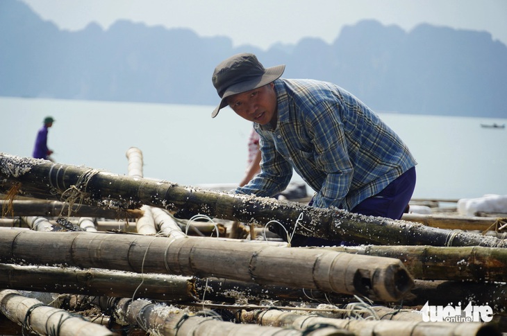 Thủ tướng: Bộ Tài chính xem xét ngay ứng kinh phí cho địa phương hỗ trợ sản xuất nông nghiệp - Ảnh 1.