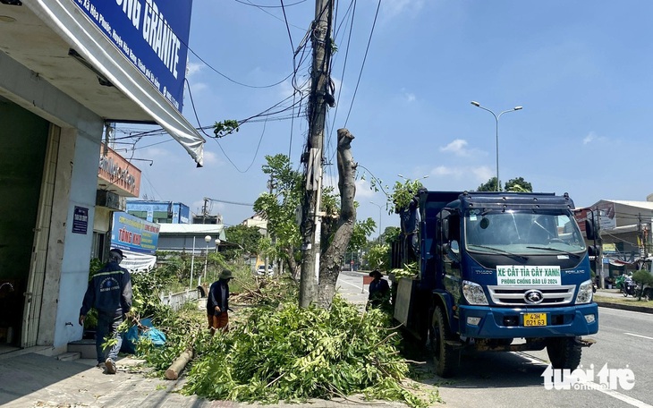 Cắt cây xanh không còn cọng lá trên đường quốc lộ 1 qua Đà Nẵng - Ảnh 8.