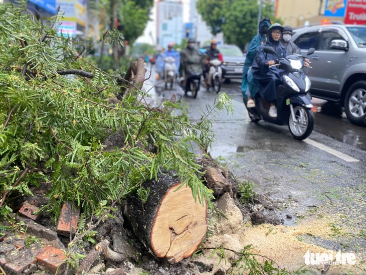 Cây xanh ở TP.HCM, Bình Dương đổ hàng loạt trong mưa - Ảnh 5.