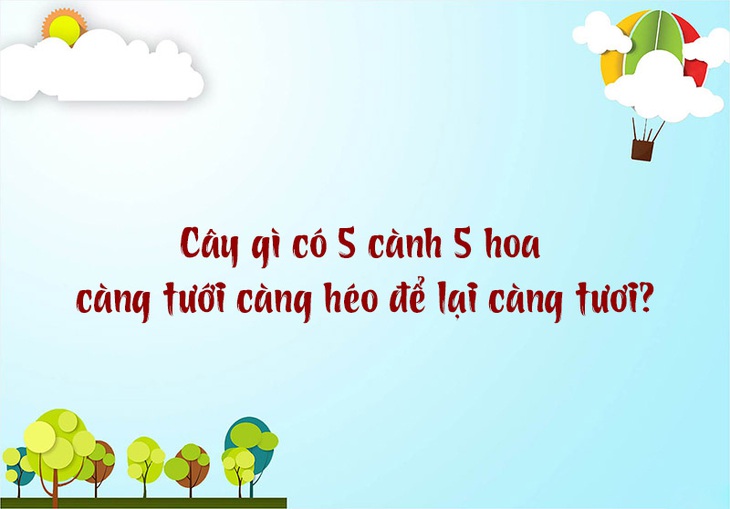 Trong tiếng Việt từ nào có 1 tỉ chữ 'NH'? - Ảnh 3.