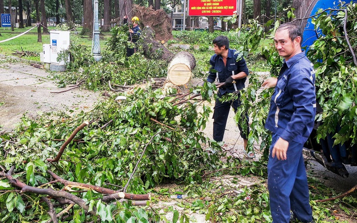 Nam Bộ mưa to gió lớn do ảnh hưởng siêu bão Yagi - Ảnh 2.