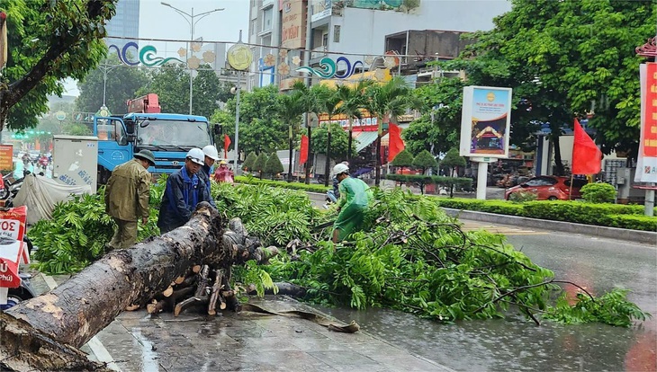 Bão chưa vào đất liền, nhiều cây xanh ở Thanh Hóa đã gãy đổ - Ảnh 3.