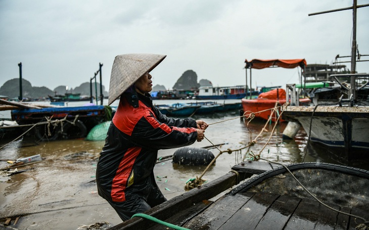 Bão số 3 mạnh nhất 30 năm qua, có thể gây rủi ro rất lớn ở Quảng Ninh, Hải Phòng - Ảnh 2.