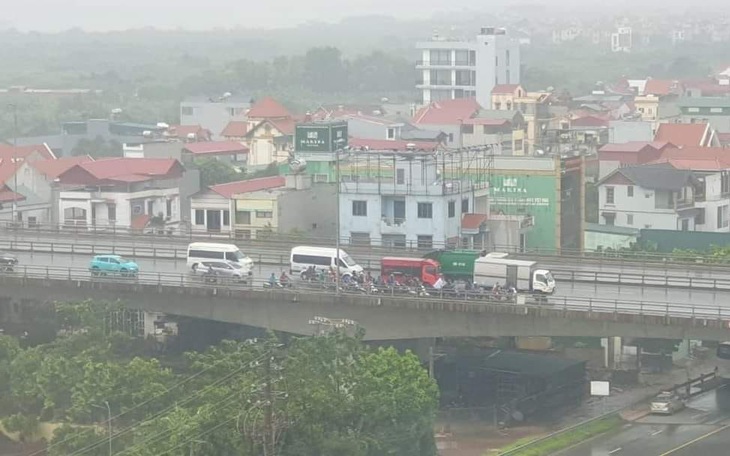 Chú ngựa 'đi nặng' trên sân khấu chung kết hoa hậu - Ảnh 3.