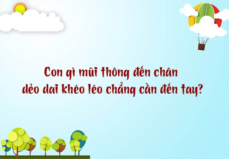 Trong tiếng Việt từ nào vừa nặng vừa nhẹ? - Ảnh 3.