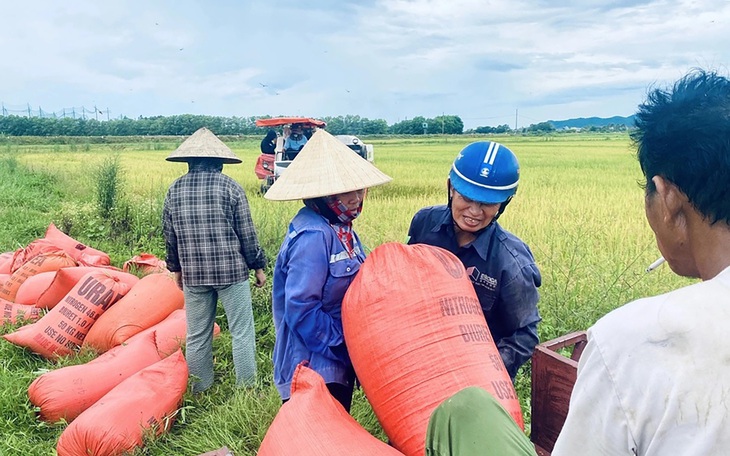 Hơn 600ha lúa hè thu ở Cà Mau, Kiên Giang bị ảnh hưởng do mưa bão - Ảnh 2.