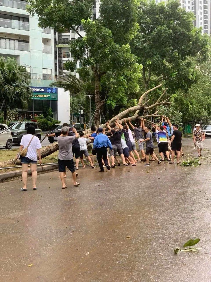 Bí thư Hà Nội: Cây xanh gãy đổ, cây nào cứu được phải hết sức cứu - Ảnh 3.