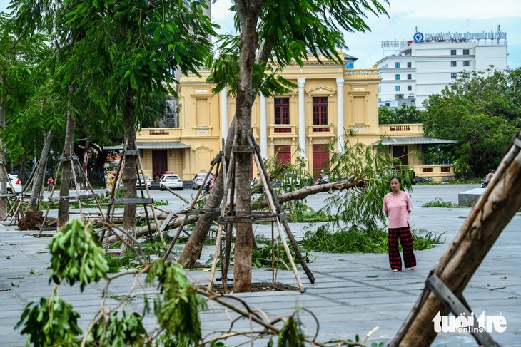 Hải Phòng - Ảnh 11.