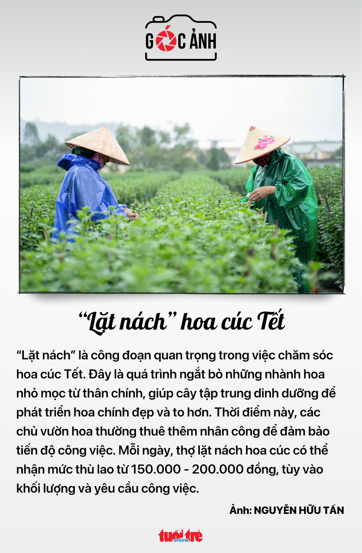 Tin tức sáng 13-1: Bộ Tài chính nghiêm cấm biếu, tặng quà Tết cho lãnh đạo dưới mọi hình thức - Ảnh 6.