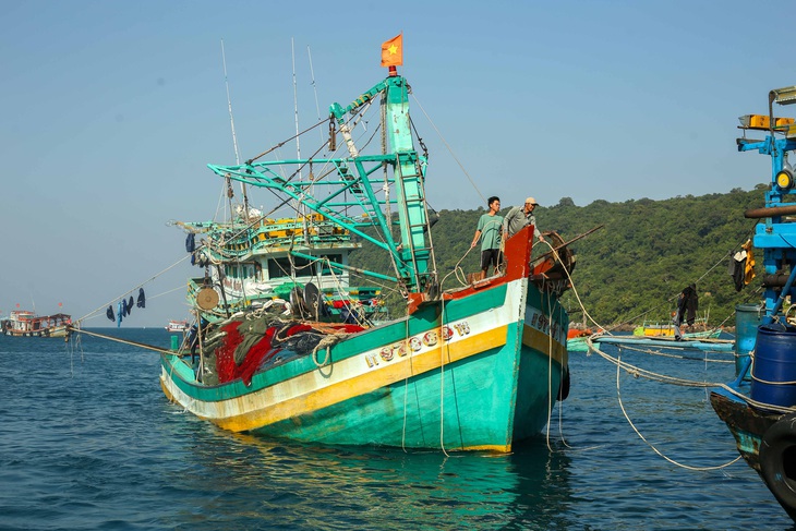 Phó thủ tướng: Quản lý nghề cá trên biển bằng quy hoạch, mùa đánh bắt - Ảnh 2.