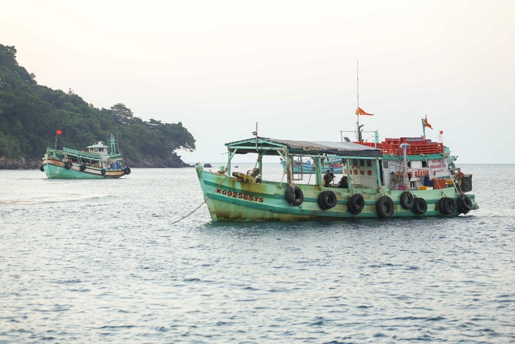 Tàu cá không ghi nhật ký khai thác thủy sản bị phạt tới 700 triệu đồng - Ảnh 1.