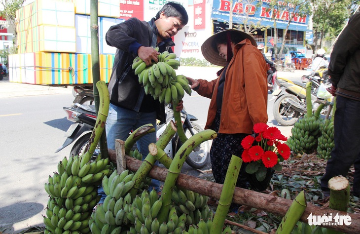 Vì sao nải chuối trên bàn thờ gia tiên thường không thể thiếu với người Huế trong ngày Tết? - Ảnh 1.