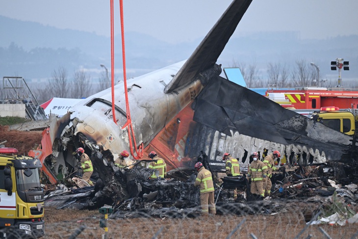 Reuters: Tìm thấy lông chim và máu trong cả hai động cơ của máy bay Jeju Air gặp nạn - Ảnh 1.