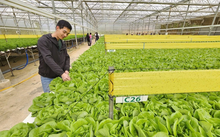 Siêu thị tăng cường siết chặt chất lượng hàng hoá - Ảnh 2.