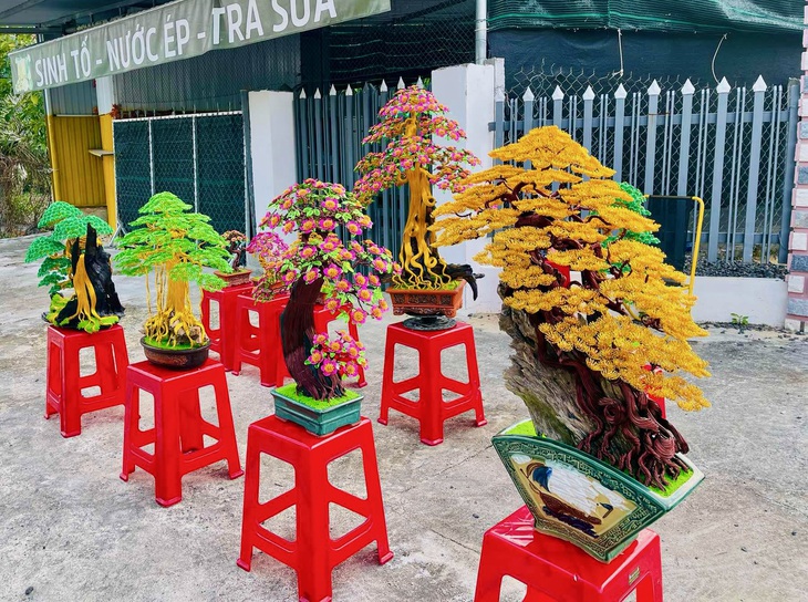 Bonsai dây nhôm xuống chợ Tết, đẹp hút hồn khách mua - Ảnh 5.