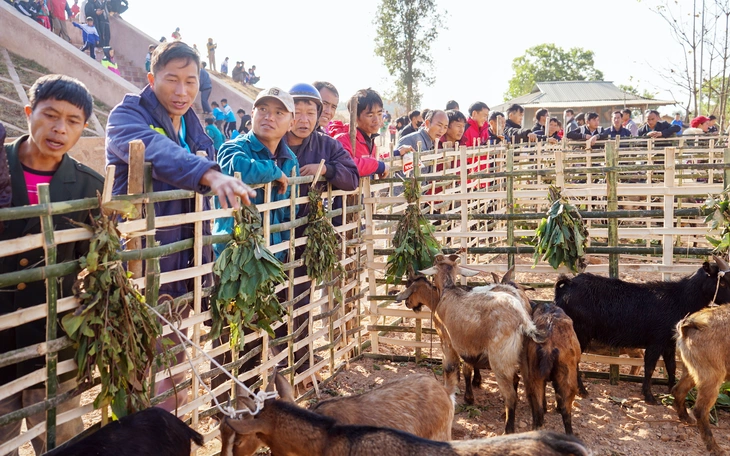 Ấm lòng những suất ăn 0 đồng, những suất ăn bán nới những ngày cận Tết - Ảnh 3.