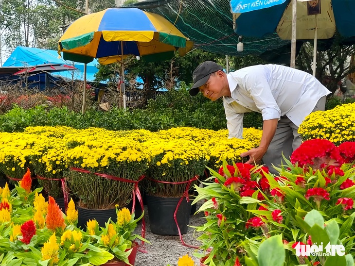 Tiểu thương chợ hoa xuân lo lắng vì hoa bán chậm, giá rẻ - Ảnh 1.