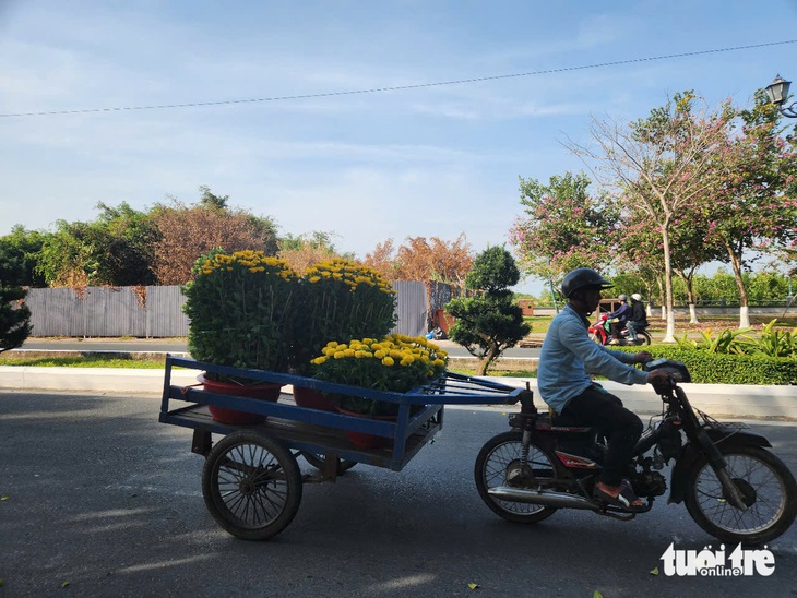 Tiểu thương chợ hoa xuân lo lắng vì hoa bán chậm, giá rẻ - Ảnh 3.