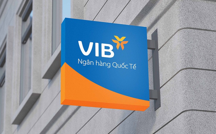 VIB: Lợi nhuận 2024 hơn 9.000 tỉ đồng, tăng trưởng tín dụng 22% - Ảnh 1.