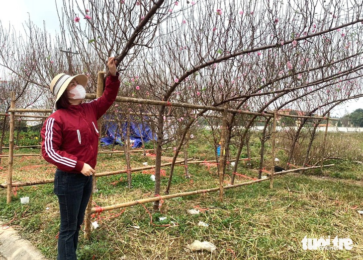 Kiếm tiền triệu mỗi ngày từ nghề ‘chở Tết’ đến mọi nhà - Ảnh 1.