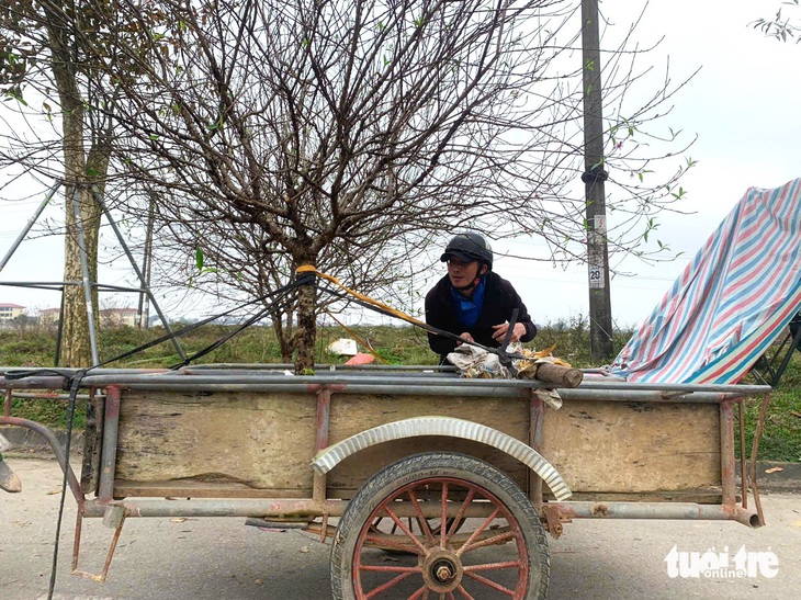 Kiếm tiền triệu mỗi ngày từ nghề ‘chở Tết’ - Ảnh 2.