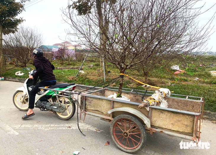 Kiếm tiền triệu mỗi ngày từ nghề ‘chở Tết’ đến mọi nhà - Ảnh 3.