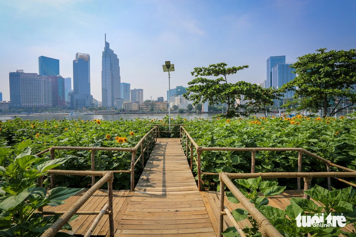 Ngỡ ngàng đôi bờ sông Sài Gòn sau một năm: Lau lách nhường đường, điện đèn rực sáng - Ảnh 9.