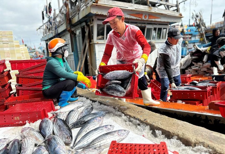 khai thác thủy sản - Ảnh 1.