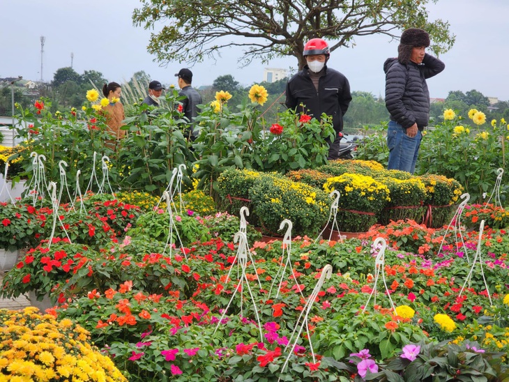 Chiều cuối năm, nhà đủ hoa rồi vẫn ra chợ mua thêm vì thương người bán hoa Tết đang ế - Ảnh 4.