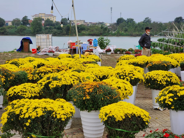 Chiều cuối năm, nhà đủ hoa rồi vẫn ra chợ mua thêm vì thương người bán hoa Tết đang ế - Ảnh 5.