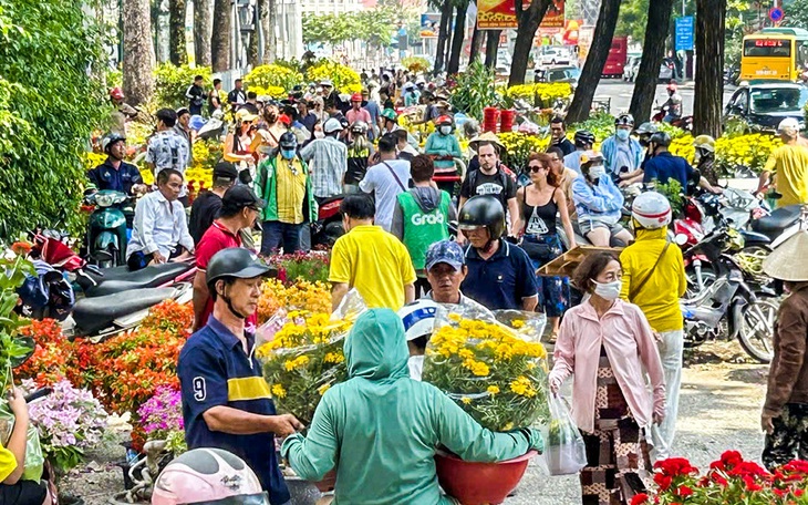 Hoa Tết: nhà vườn thắng, thương lái... mếu! - Ảnh 2.