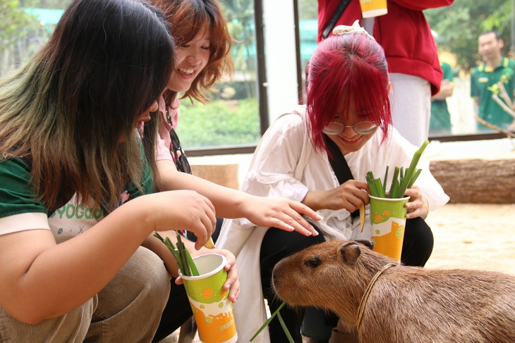 'Giao lưu' với gia đình 'ngoại giao' capybara tại Thảo cầm viên - Ảnh 4.