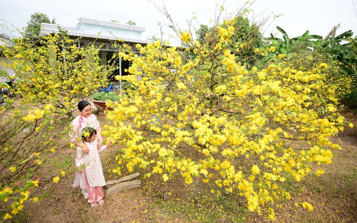 Những đêm trăng và nội - Ảnh 2.