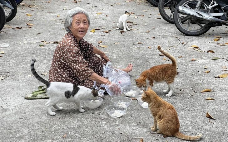 Người đăng tin Thảo cầm viên cho cá sấu ăn mèo: ‘Tưởng tượng đến mất ngủ nên đăng sai sự thật’ - Ảnh 2.