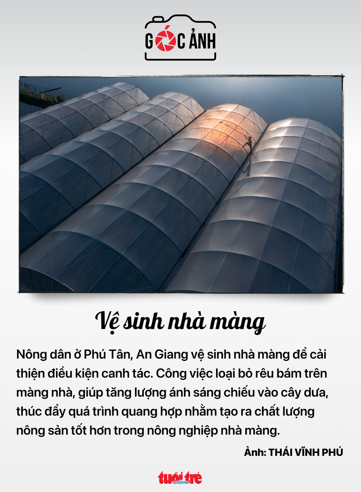 Tin tức sáng 10-1: Năm 2024 số cơ sở bị phạt vì vi phạm an toàn thực phẩm tăng 3 lần - Ảnh 5.