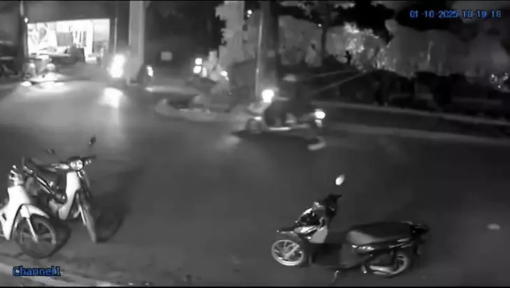 2 bà cháu bị cây lớn bật gốc đè trúng giữa trời mưa tại TP.HCM - Ảnh 1.
