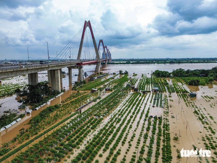 Sông Hồng qua Hà Nội mênh mông nước, làng đào lại ngâm mình trong dòng lũ - Ảnh 7.